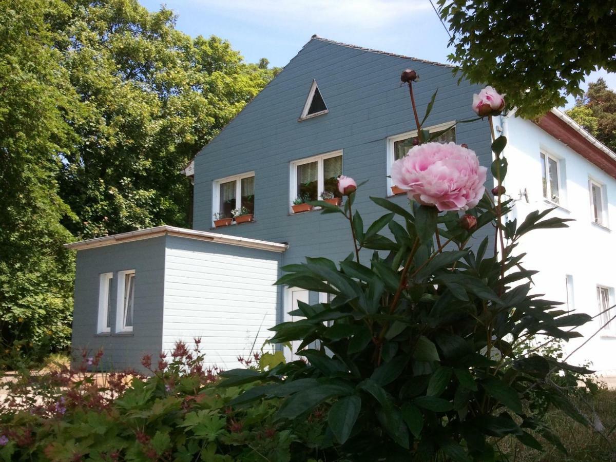Gasthof Blaues Haus Hotel Bastorf Exterior foto